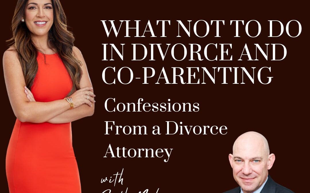 What NOT to do in Divorce and Co-Parenting: Confessions From a Divorce Attorney; with guest Seth Nelson